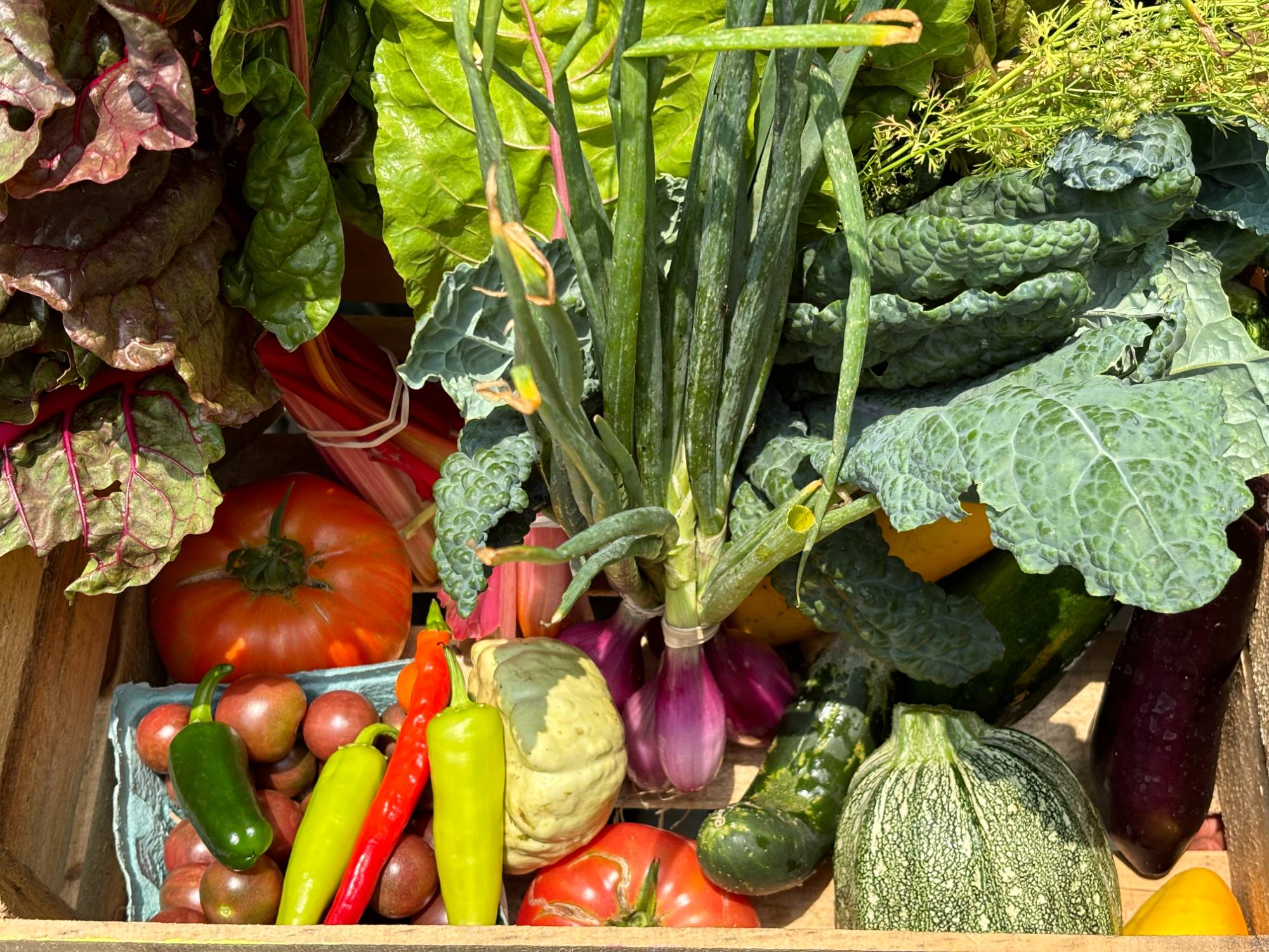 A crate holding a variety of vegetables